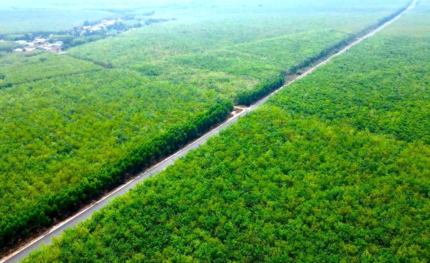 Chốt hạn về đích 2 tuyến đường kết nối trọng điểm phía Nam - Ảnh 3