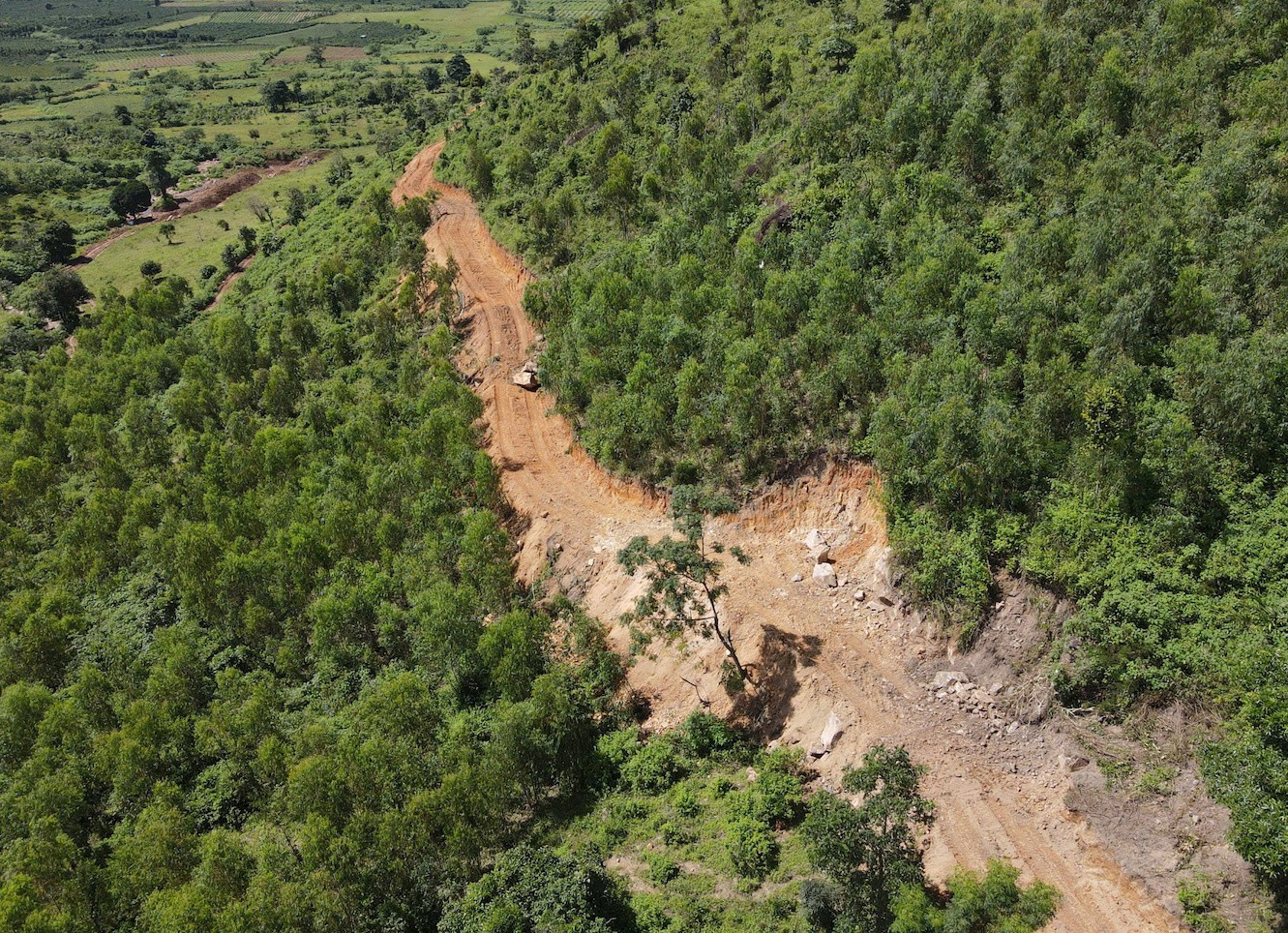 Đã tìm ra người 'xẻ thịt' ngọn núi nổi tiếng ở Gia Lai - Ảnh 4