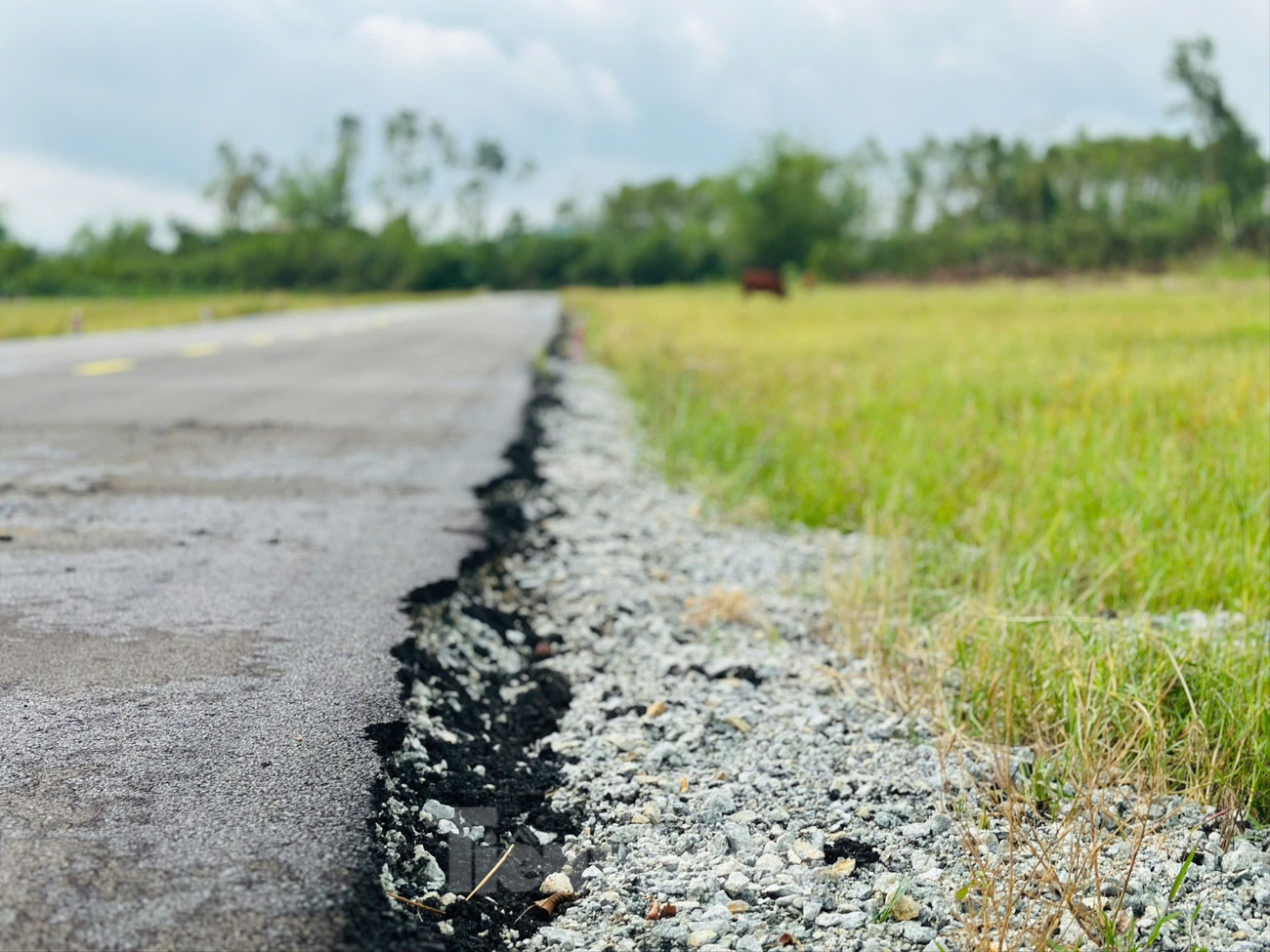 Nguy cơ phá vỡ hạ tầng trong 'cơn sốt ảo' đất nền ở vùng quê Hà Tĩnh - Ảnh 7