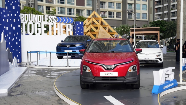 VinFast đặt cược lớn vào thị trường Ấn Độ: Cú hích hay thử thách mới? - Ảnh 3