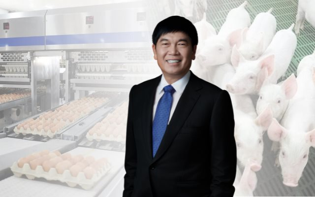 Tỷ phú Trần Đình Long có động thái 'lạ' với nông nghiệp Hòa Phát sau nửa năm báo lãi nghìn tỷ, 'đe dọa' Dabaco và vượt trội so với BAF, HAGL... dù quy mô vốn khiêm tốn - Ảnh 1