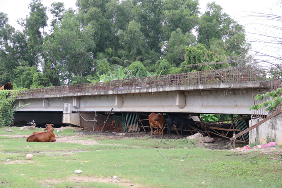 Vun bồi sức mạnh cho siêu đô thị: Trông chờ 3 tuyến vành đai - Ảnh 1