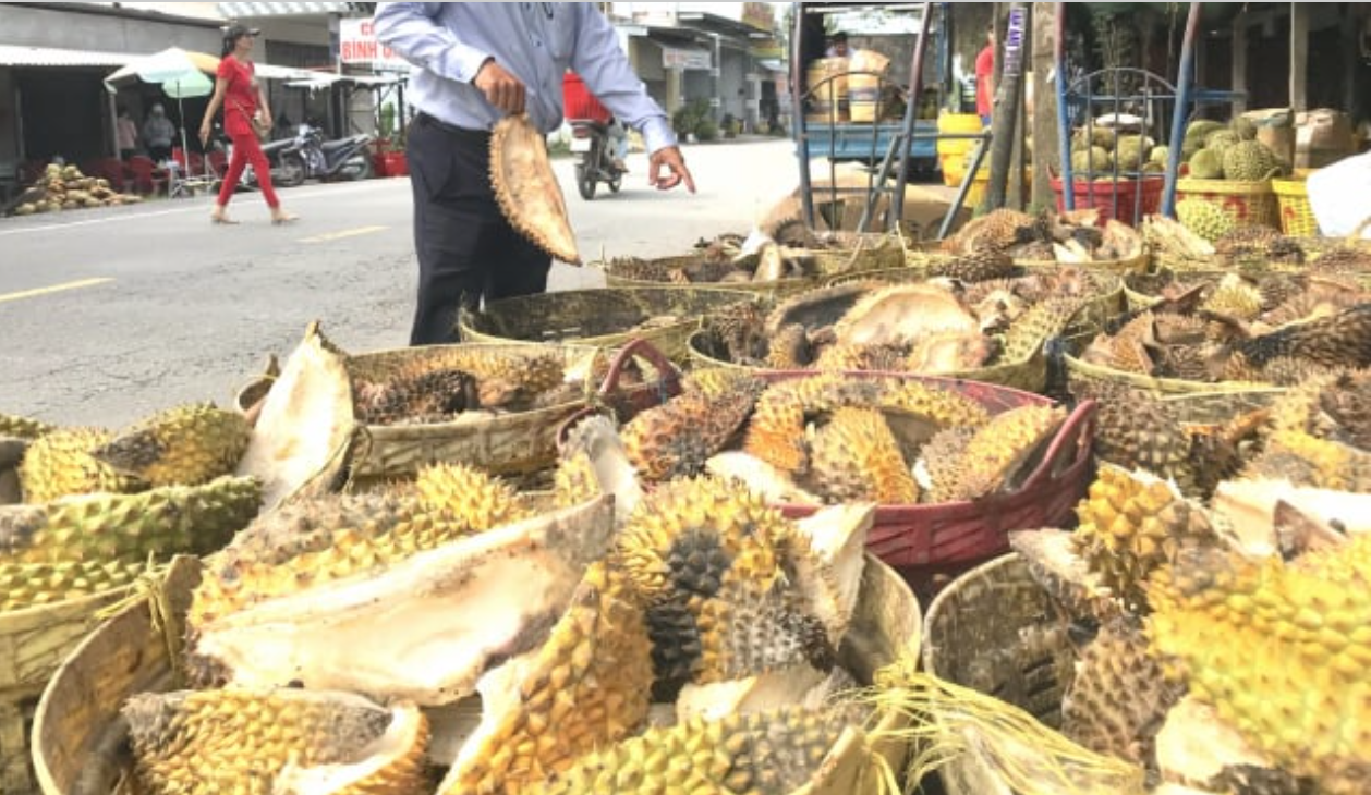 Thứ vỏ từng bị vứt bỏ gây hại cho môi trường, giờ trở thành “mỏ vàng” lộ thiên - Ảnh 1