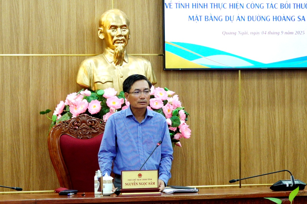 Thông tin mới nhất về dự án đường 3.500 tỷ đồng, ảnh hưởng hơn 2.300 hộ dân tại Quảng Ngãi - Ảnh 2