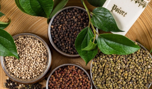 Giá tiêu hôm nay 3/9: Tiếp đà tăng mạnh nhiều phiên liên tiếp - Ảnh 1