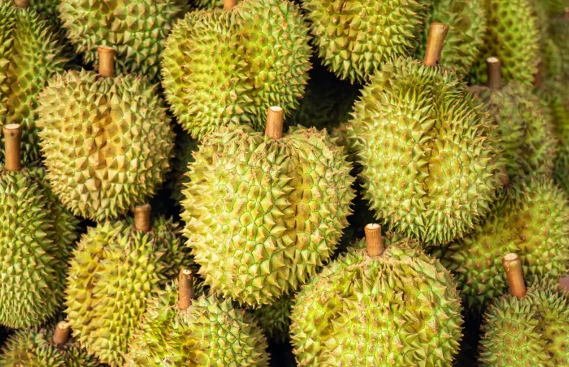 Quyết lấy lại thị phần tại Trung Quốc, một ông lớn Thái Lan chuẩn bị ra mắt xôi sầu riêng ăn liền, sẽ mở rộng sang cả thị trường châu Âu - Ảnh 1