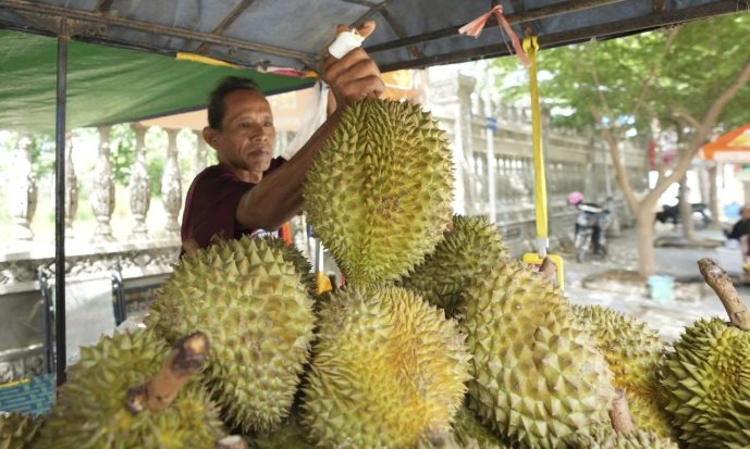 Không phải Thái Lan, làn sóng sầu riêng đang bùng nổ tại quốc gia Đông Nam Á: Công ty bất động sản, dầu cọ đổ xô đi trồng sầu riêng, giá bán tăng gần gấp 4 lần - Ảnh 1