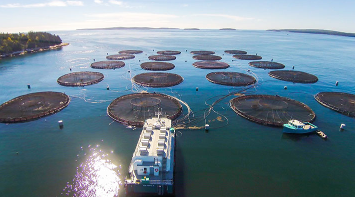 Nga, châu Âu đang đua nhau săn lùng một ‘mỏ vàng’ từ Việt Nam: Thu về hơn nửa tỷ USD sau 8 tháng, nước ta vươn lên đứng Top 5 thế giới - Ảnh 1