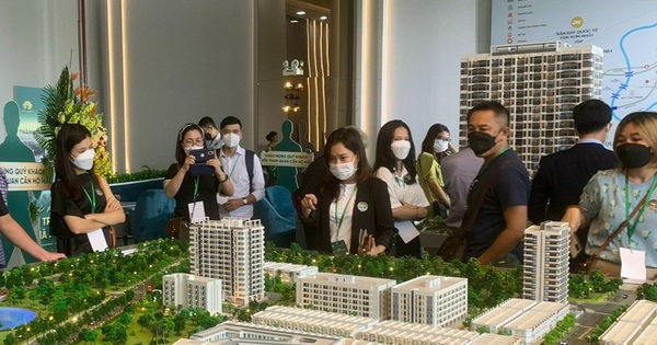 Loạt doanh nghiệp bất động sản 'vượt khó' nhờ doanh thu tài chính