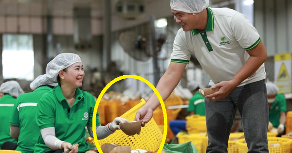 Sản vật tỷ USD của Việt Nam lọt Top 5 thế giới: Cách mặt đất 3-25m, chứa "nước thần" cực bổ