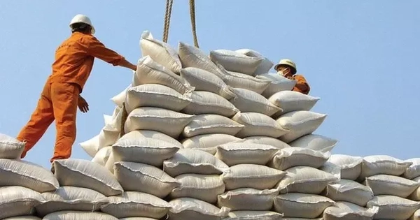 Phát hiện nhiều vi phạm của doanh nghiệp xuất khẩu gạo