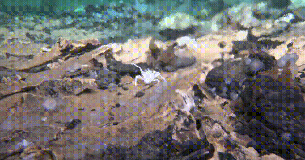 Tàu ngầm Trung Quốc tìm ra nơi chứa bí mật về sự sống