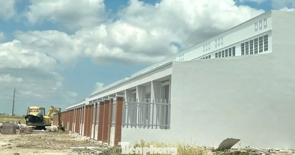 Mở bán 250 căn nhà ở xã hội dạng liền kề, giá hơn 14 triệu đồng/m2