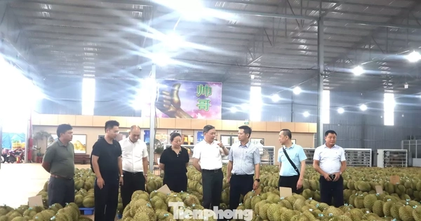 Doanh nghiệp Trung Quốc nói gì về chất lượng sầu riêng Việt Nam?