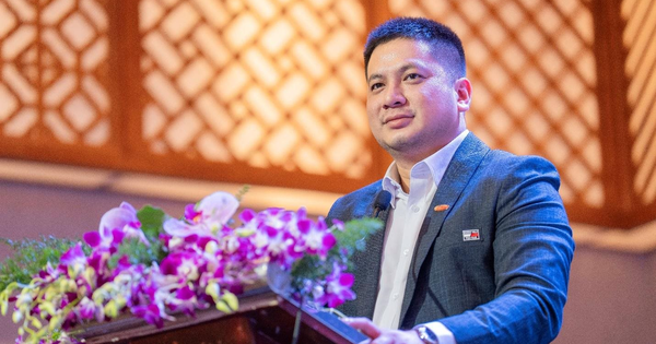 Searefico còn 6 tháng để loại bỏ hoàn toàn ý kiến kiểm toán loại trừ trước 2026