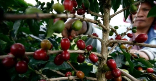 Chịu mức thuế 40% của Mỹ, nước láng giềng Việt Nam tính chuyển hướng xuất khẩu mặt hàng ‘hái ra tiền’ sang Nga