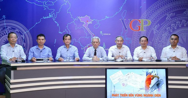 Phó Tổng giám đốc EVN: "Chúng tôi không phải là đơn vị bán lẻ điện duy nhất"