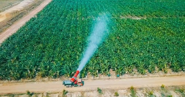 Thaco Agri của tỷ phú Trần Bá Dương có tổng tài sản tăng vọt lên hơn 67.000 tỷ đồng, vượt Becamex, Vincom Retail, gấp 3 lần HAGL