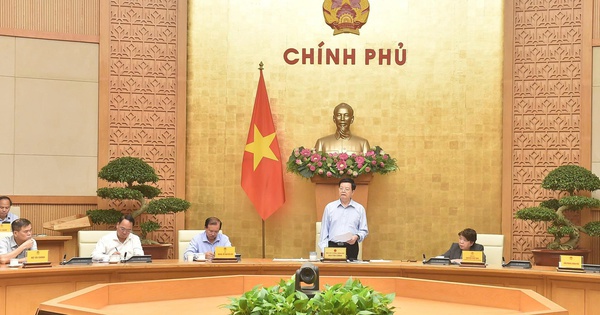 Vingroup nhận nhiệm vụ từ Phó Thủ tướng