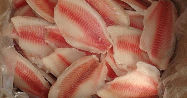 Mỹ, Brazil “thích mê” sản vật trị giá hơn 10 tỷ USD, Việt Nam có trữ lượng 300 nghìn tấn/năm