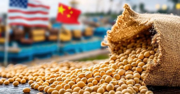 Giữa mùa cao điểm, triệu tấn hàng Mỹ thất thu tỷ USD vì Trung Quốc ‘ngó lơ’, chọn nguồn Brazil