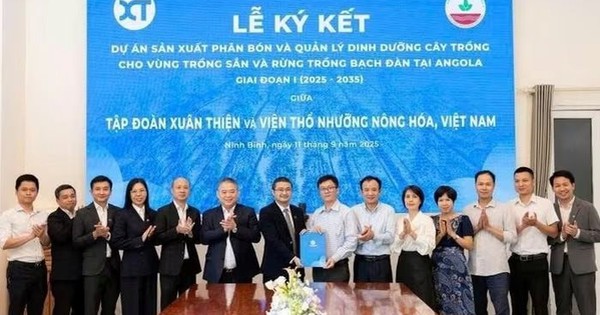 Hành động mới của "Bầu" Thiện tại châu Phi