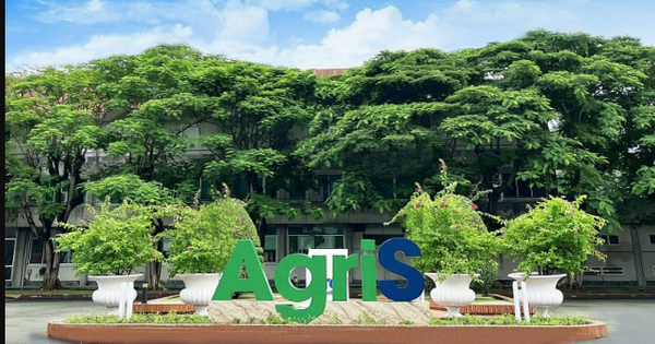 TTC AgriS dự kiến phát hành hơn 40,7 triệu cổ phiếu ESOP
