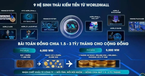 Chiêu trò khiến hàng nghìn người sập bẫy đầu tư đồng tiền ảo 'WM'