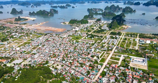 Quảng Ninh “tăng tốc” giải phóng mặt bằng, mở đường triển khai siêu dự án 1 tỷ USD của HDMon tại đặc khu Vân Đồn