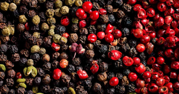 Giá tiêu ngày 19/9: Giảm chung theo xu hướng thế giới, nội địa cao nhất 151.000 đồng/kg