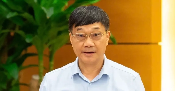 Phó Chủ tịch Quốc hội: 'Anh em rất sợ, từ thái cực này dễ chuyển sang thái cực kia...'