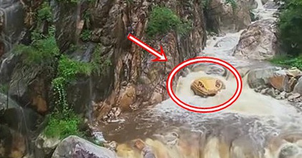 'Trăn khổng lồ' giữa suối khiến du khách hoảng sợ, ban quản lý nói: Nó đã ở đây hàng trăm triệu năm
