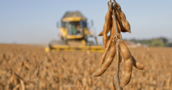 Trung Quốc ngừng nhập khẩu, Mỹ tăng cường đưa một mặt hàng vào Việt Nam: Thuế nhập khẩu 0%, nước ta tiêu thụ đứng thứ 3 thế giới