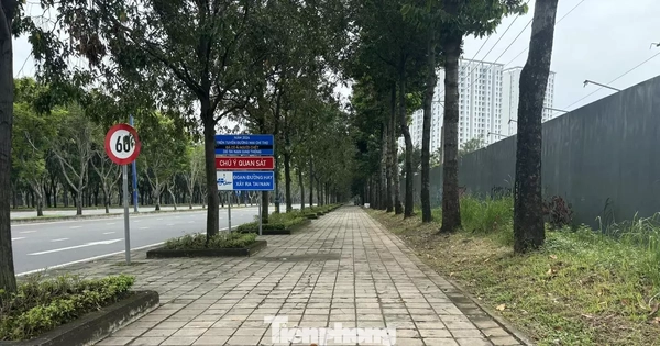 Cận cảnh tuyến đường đầu tiên ở TPHCM sẽ cải tạo thành làn xe đạp