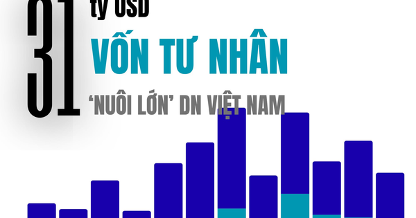31 tỷ USD 'nuôi lớn' Masan, Tiki, Equest, Golden Gate... trong 1 thập kỷ từ dòng vốn tư nhân