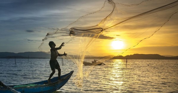 Chứng khoán bật tăng, nhà đầu tư coi chừng ‘cái bẫy’ nguy hiểm này