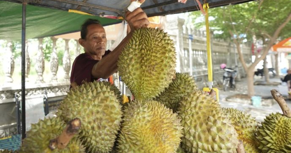 Không phải Thái Lan, làn sóng sầu riêng đang bùng nổ tại quốc gia Đông Nam Á: Công ty bất động sản, dầu cọ đổ xô đi trồng sầu riêng, giá bán tăng gần gấp 4 lần