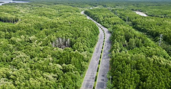 3 năm nữa từ TP.HCM đi Cần Giờ chỉ mất 15 phút, nhanh hơn ra sân bay, không bao giờ lo tắc đường