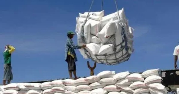 Ấn Độ siết lại xuất khẩu gạo