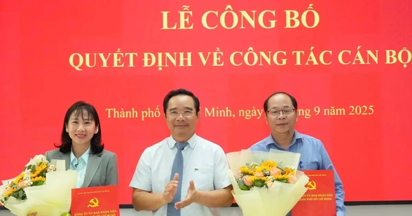 Bổ nhiệm, chỉ định nhân sự ở TPHCM và 4 tỉnh