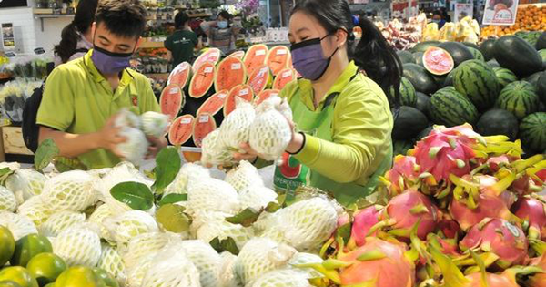 Xuất khẩu rau quả: Bứt tốc sau giai đoạn chững lại, hướng đến mốc kỷ lục mới
