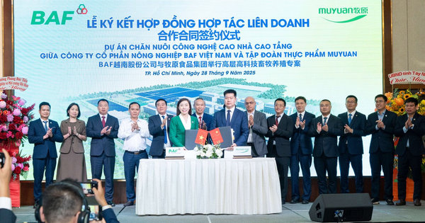 Sắp khởi động dự án 'chung cư 5 tầng nuôi heo' 12.000 tỷ: có AI 'nghe' tiếng ho chẩn bệnh, robot đi tuần 24/7