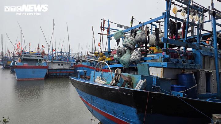 Tàu cá nối đuôi nhau cập bờ, ngư dân tất bật bán hải sản 'chạy bão' Bualoi - Ảnh 7