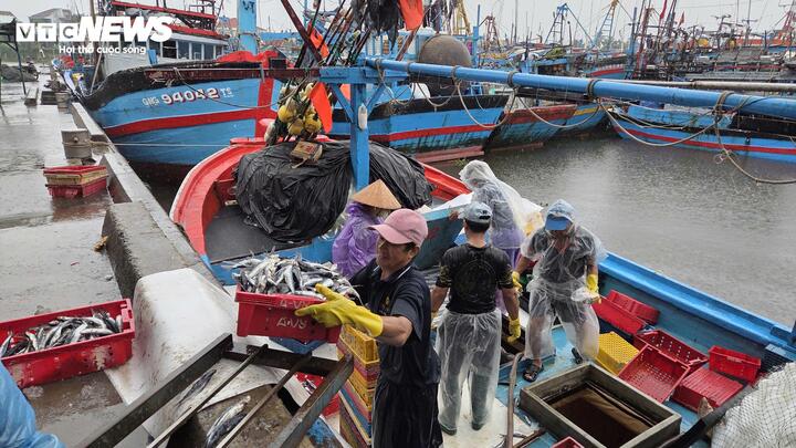 Tàu cá nối đuôi nhau cập bờ, ngư dân tất bật bán hải sản 'chạy bão' Bualoi - Ảnh 4