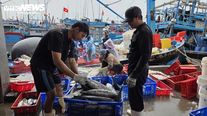 Tàu cá nối đuôi nhau cập bờ, ngư dân tất bật bán hải sản 'chạy bão' Bualoi - Ảnh 3