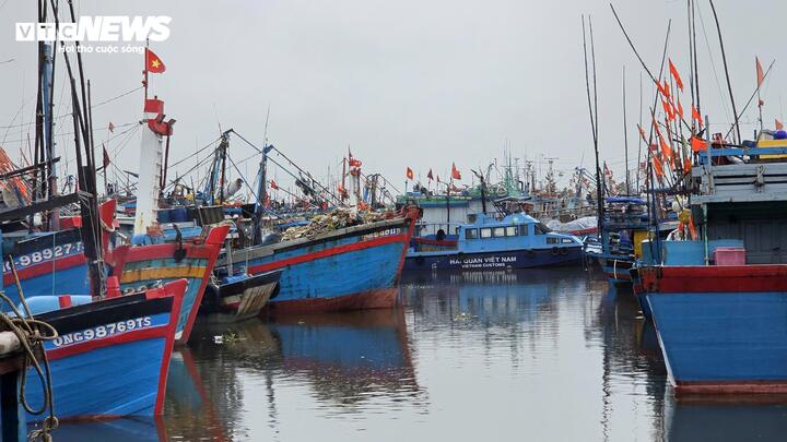 Tàu cá nối đuôi nhau cập bờ, ngư dân tất bật bán hải sản 'chạy bão' Bualoi - Ảnh 8