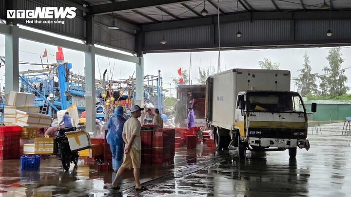 Tàu cá nối đuôi nhau cập bờ, ngư dân tất bật bán hải sản 'chạy bão' Bualoi - Ảnh 6