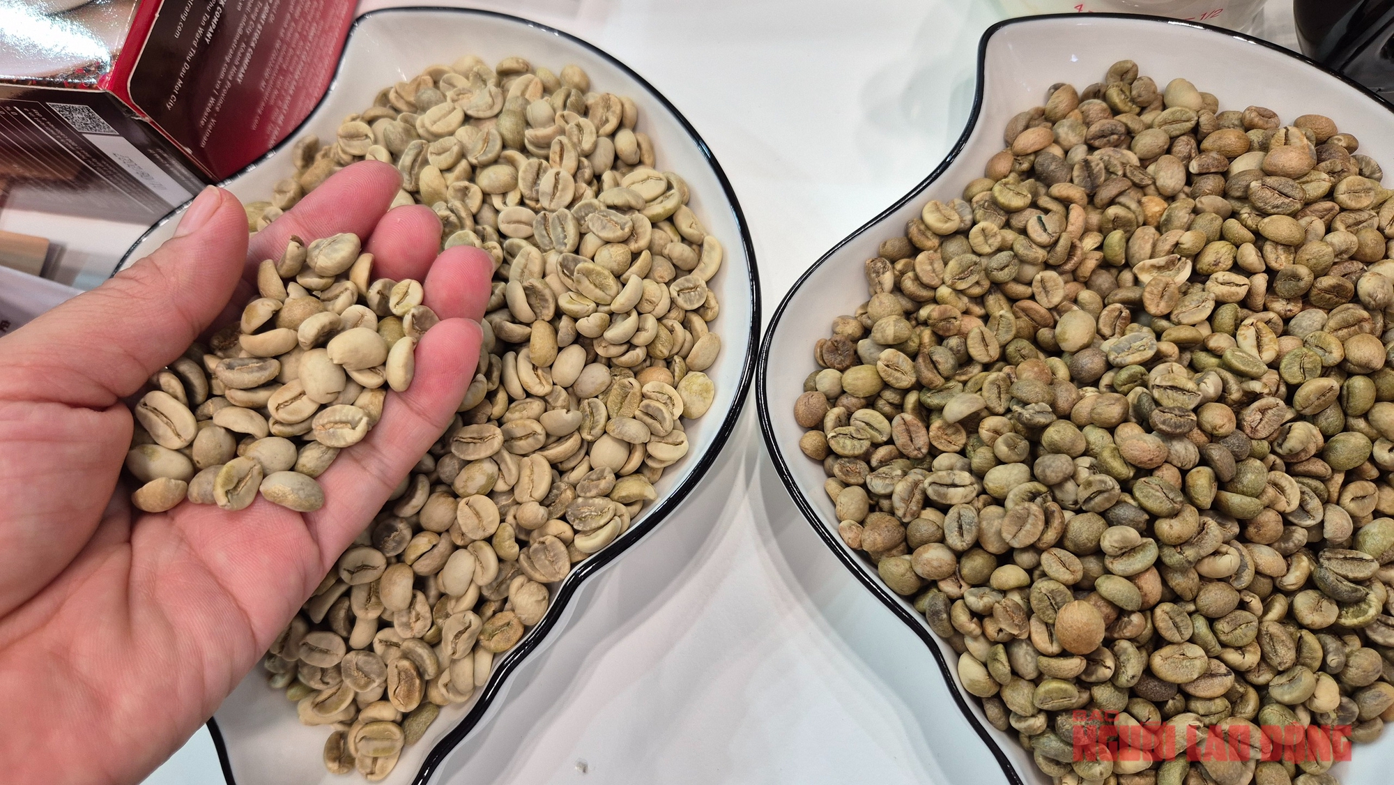 Giá cà phê hôm nay 5-9: Lại giảm nhưng yếu tố đẩy giá vẫn còn - Ảnh 1