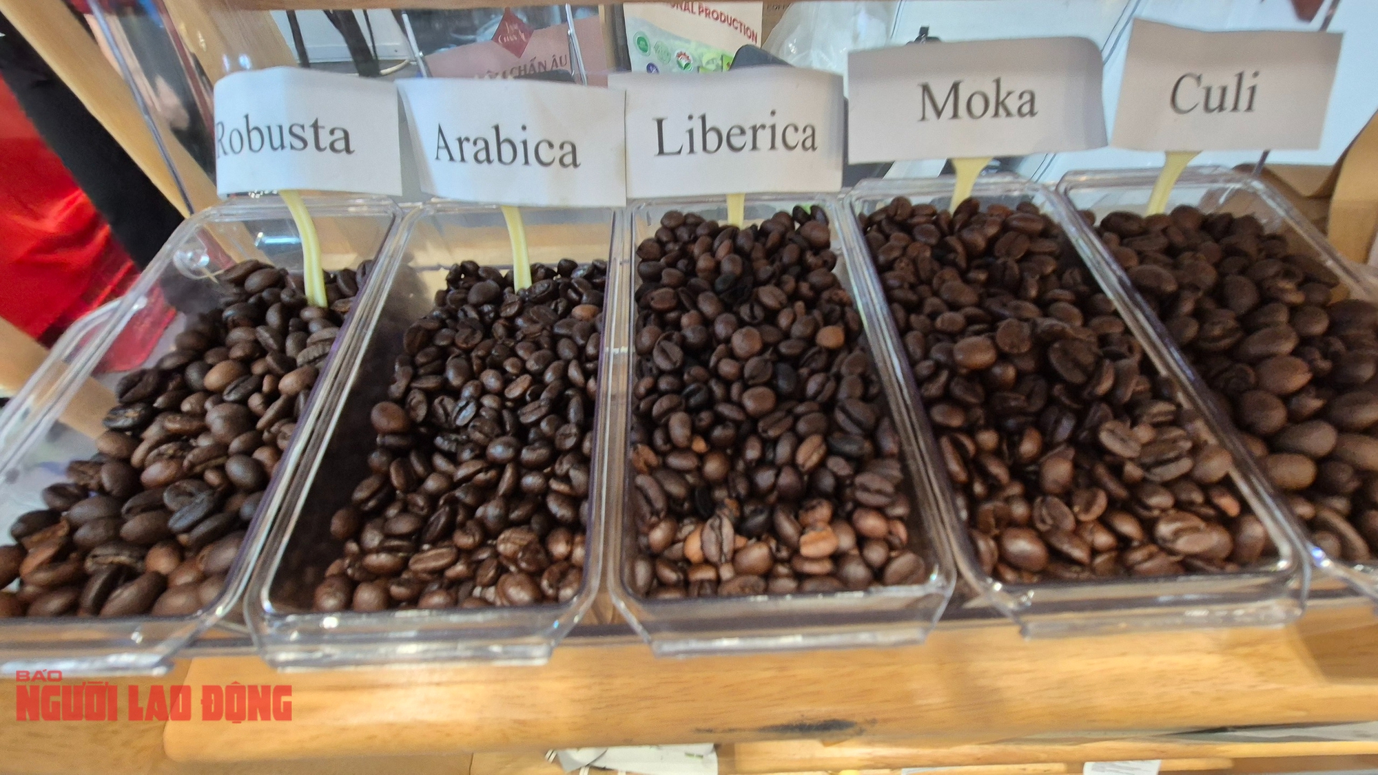 Giá cà phê hôm nay 17-9: Giảm nhẹ, cà phê Brazil khó sang Mỹ, đổ sang EU - Ảnh 1