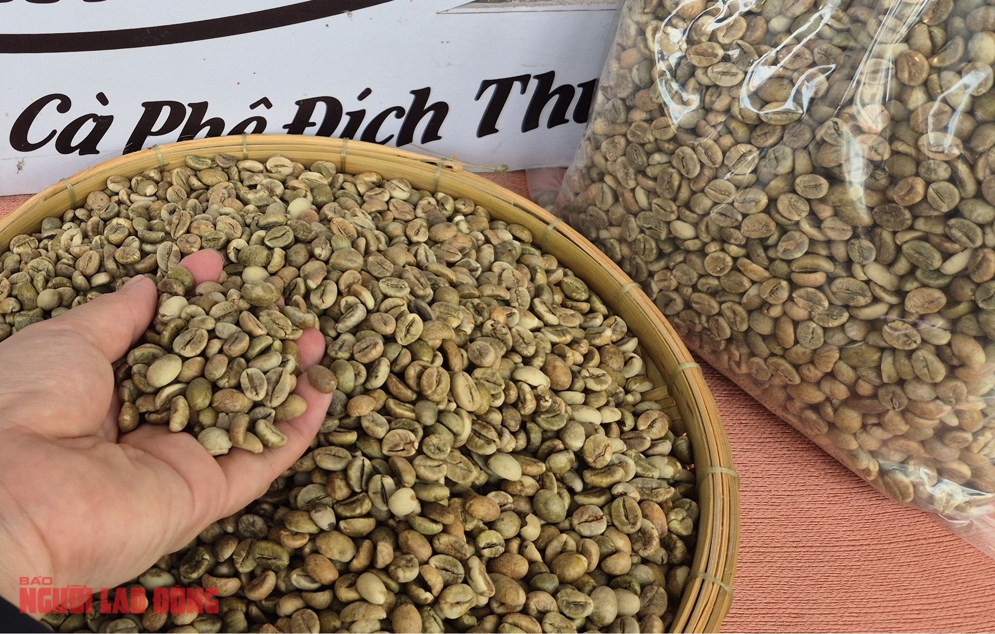 Giá cà phê hôm nay 19-9: Giá cà phê tại Mỹ phá kỷ lục - Ảnh 1